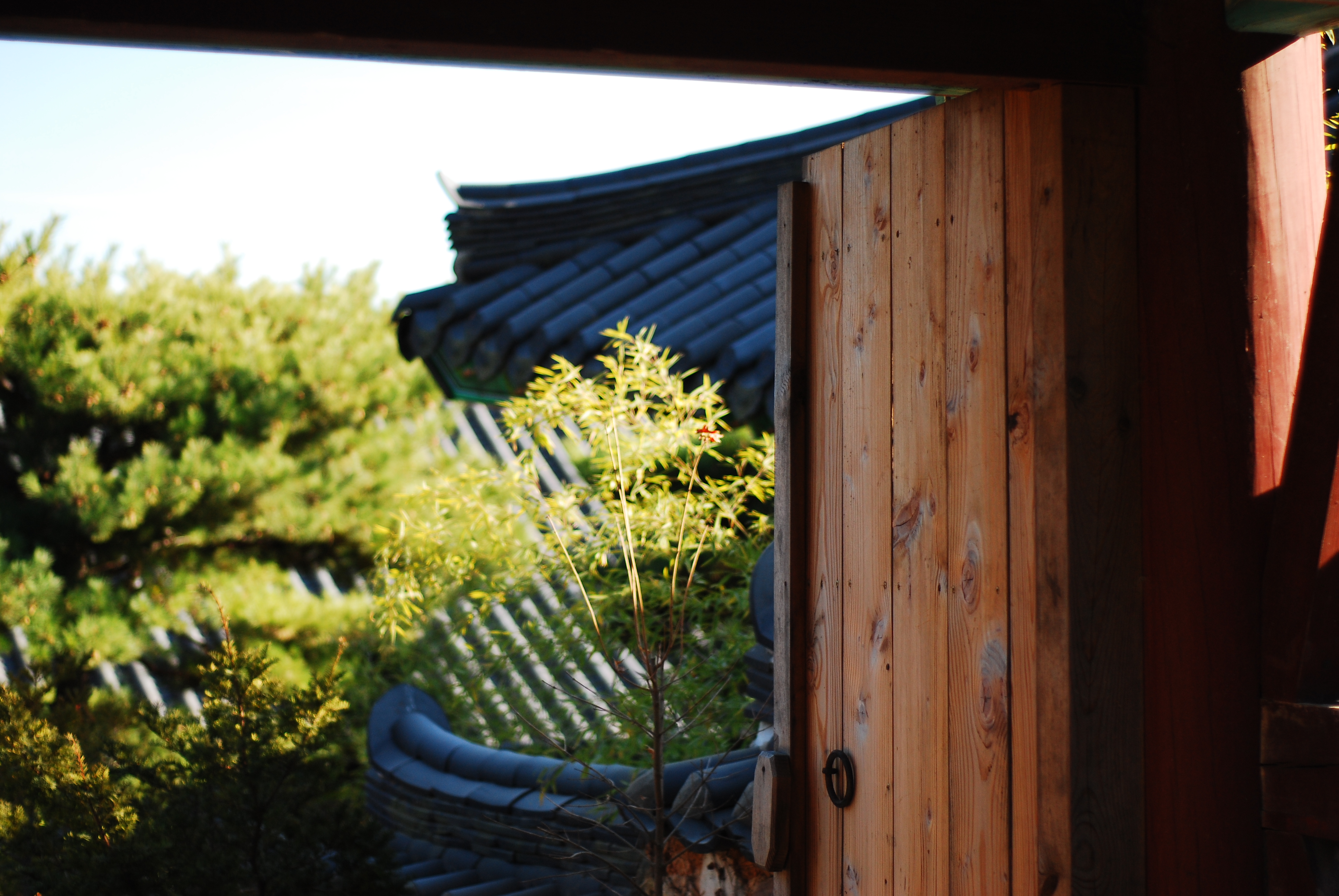 Asian Wall Architecture Details